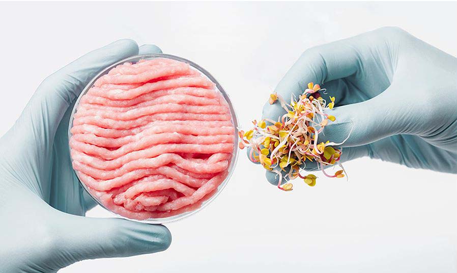 Cultivation of meat and cell cultures - Sartorius Croatia