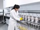 Ambr® 250 High Throughput Perfusion | Multiparalelni bioreaktor - Sartorius Croatia